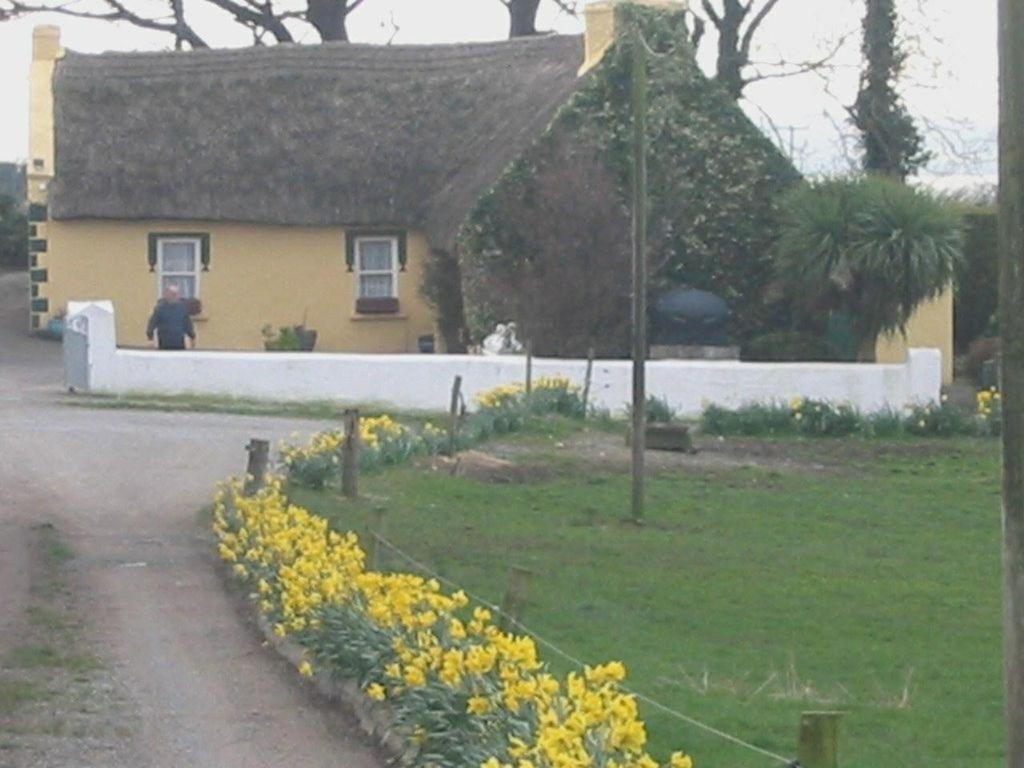 Bed and Breakfast Knights Haven Glin Exterior foto