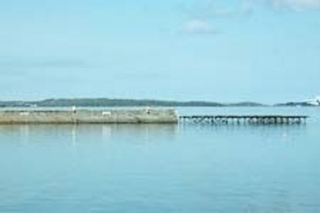 Bed and Breakfast Knights Haven Glin Exterior foto